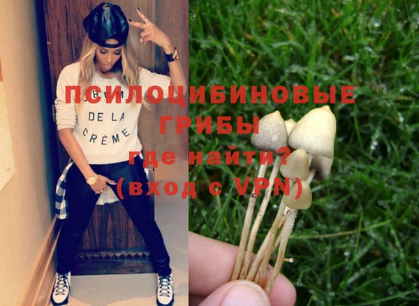 гашик Абдулино