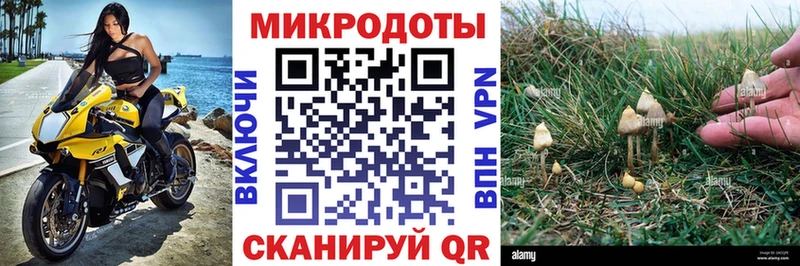 кракен ссылки Ангарск Псилоцибиновые грибы мухоморы