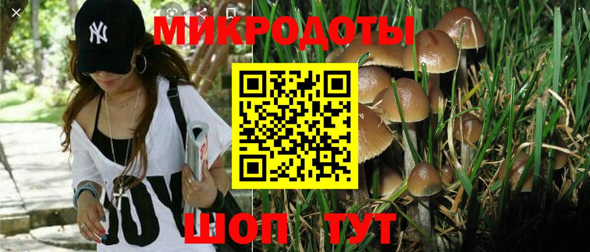Галлюциногенные грибы Psilocybe  Вход с VPN  Ангарск 