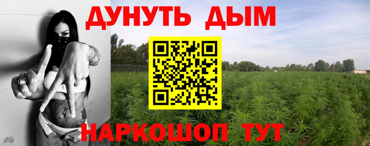 Бошки Шишки планчик Ангарск