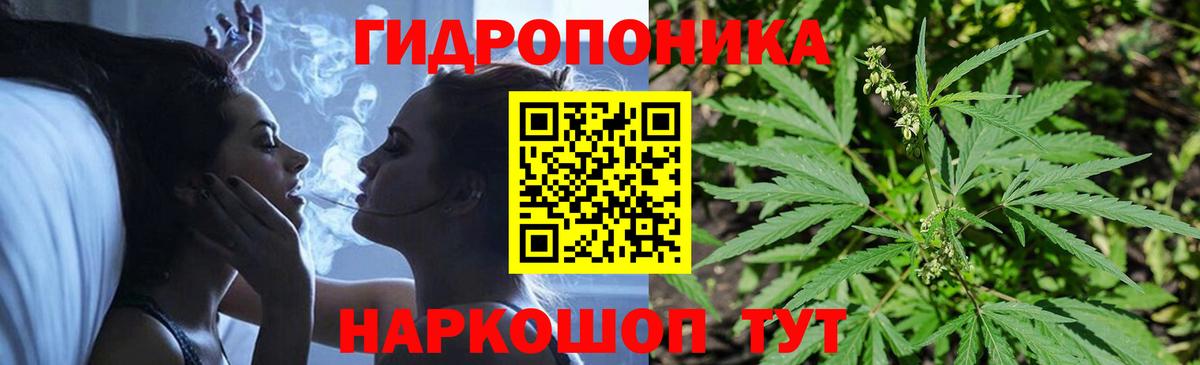Каннабис план  Вход с VPN  Марихуана семена  Ангарск  Каннабис OG Kush 